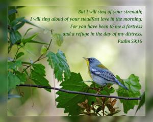 Daily Scripture Art Psalm 59 16